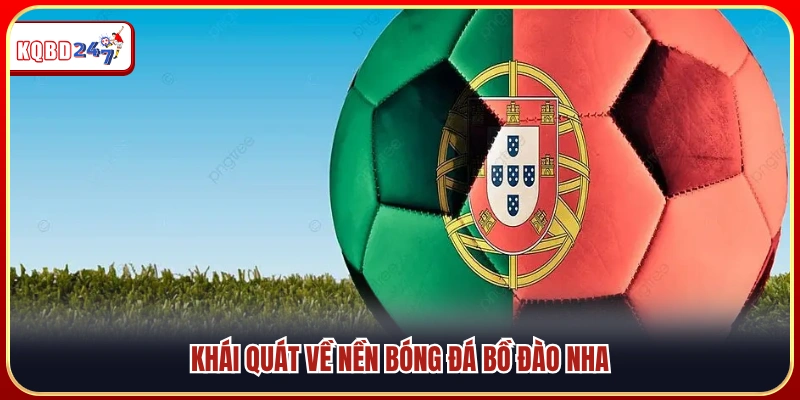 Kết Quả Bóng Đá Bồ Đào Nha – Những Trận Cầu Đỉnh Cao Châu Âu - Ki88