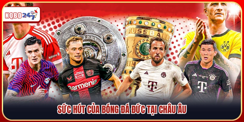 Kết Quả Bóng Đá Đức – Những Bất Ngờ Lớn Qua Từng Trận - Ki88