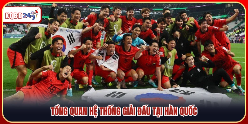 Kết Quả Bóng Đá Hàn Quốc – Thành Tích Các CLB Hàng Đầu - Ki88