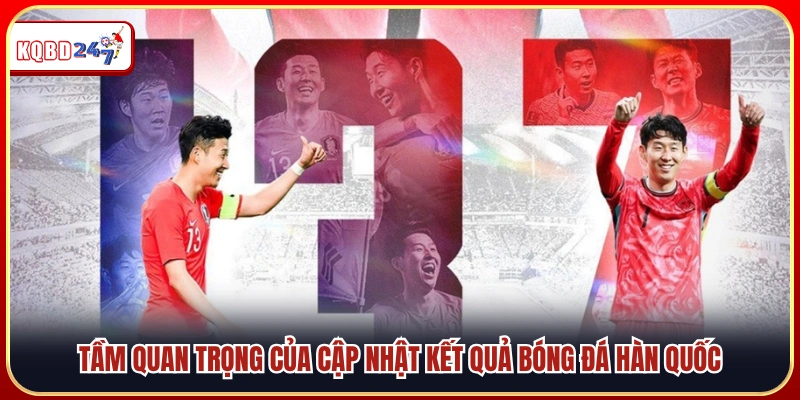 Kết Quả Bóng Đá Hàn Quốc – Thành Tích Các CLB Hàng Đầu - Ki88