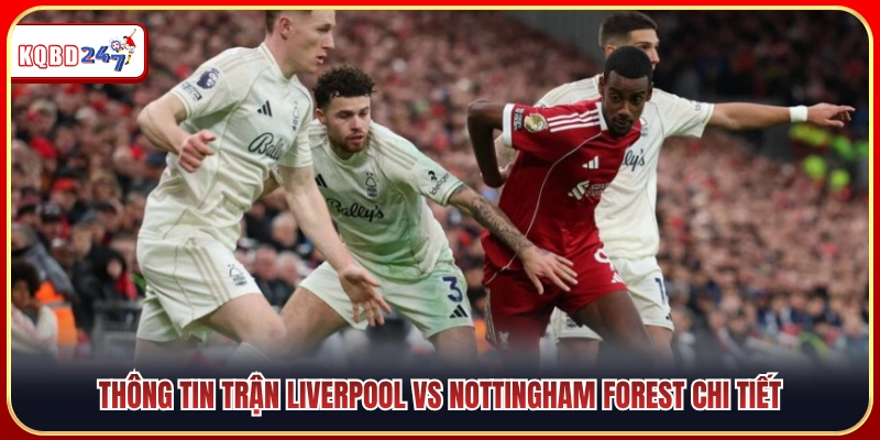 Liverpool Vs Nottingham Forest 18:30 29/08 - Ngoại Hạng Anh - Ki88
