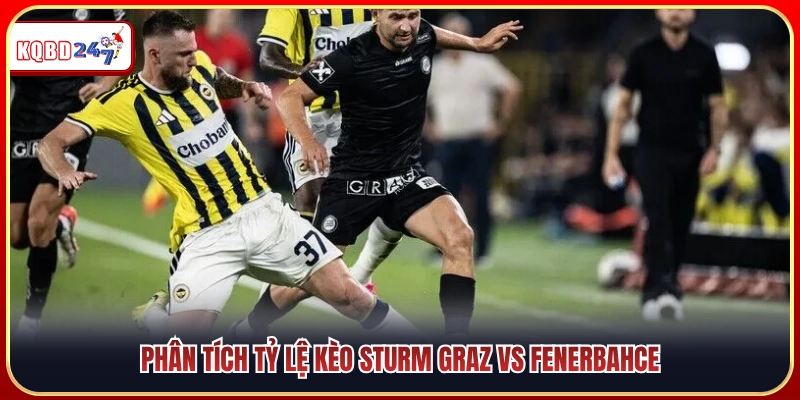 Soi Kèo Sturm Graz Vs Fenerbahce 01:30 12/08: Góc Nhìn Chuyên Gia - Ki88