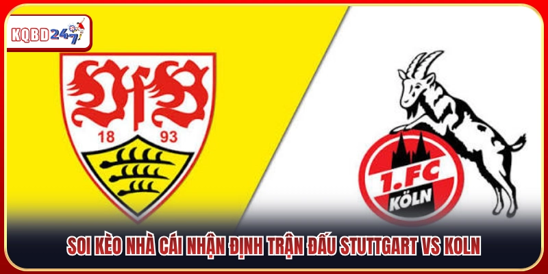 Nhận Định Stuttgart Vs Koln 01:30 05/09 - Vòng 3 Bundesliga - Ki88